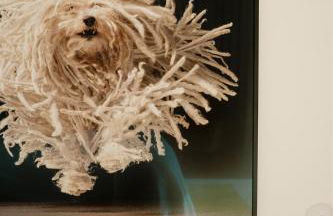 Villa Sophie - Luxury Style & Sunset View - ETV1857E - Foto 29