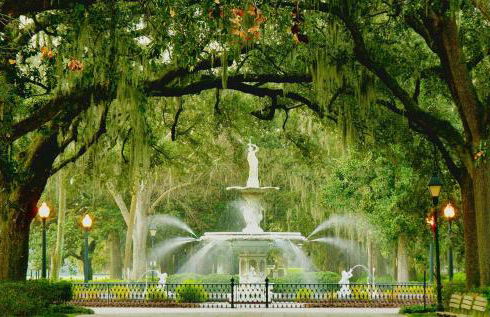 Beautiful Forsyth Park Charmer - Amazing Location! - Foto 18
