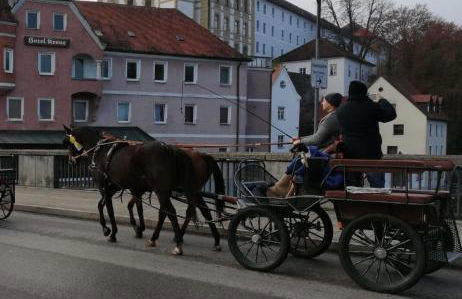 Ferienwohnung - b50233 - Foto 15