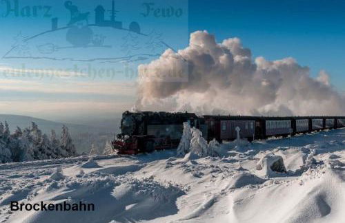 Eulennestchen-Harz Fewo S1 oder L2 Für Single, Paar oder Familie & Hund Oberharz - Foto 16