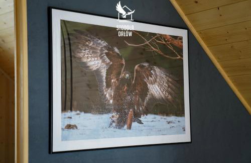 Stodoła Orłów - Domek z Jacuzzi na wyłączność - Foto 19