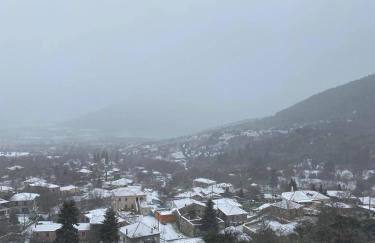 Αρχοντικό Γκιντώνη - Foto 38