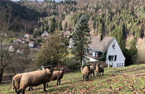 Ferienhaus Waldglück - Foto 11