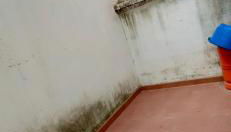 Casa Mediterrània - Foto 4