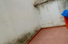 Casa Mediterrània - Foto 4