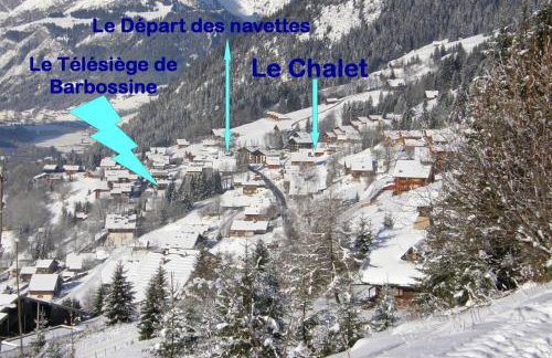 Appartement charmant Châtel 70 m² + Terrasse - Foto 10