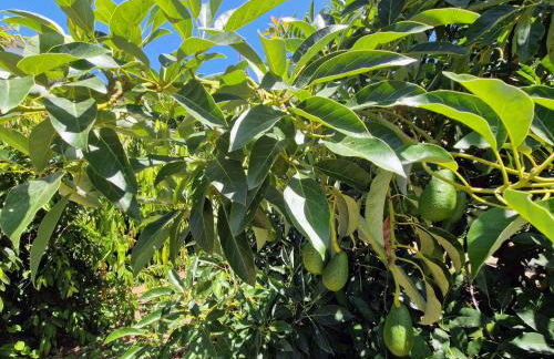 Casa con piscina privada y vistas - Foto 31