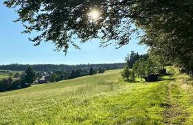 Apartment Tannenruhe - Foto 13