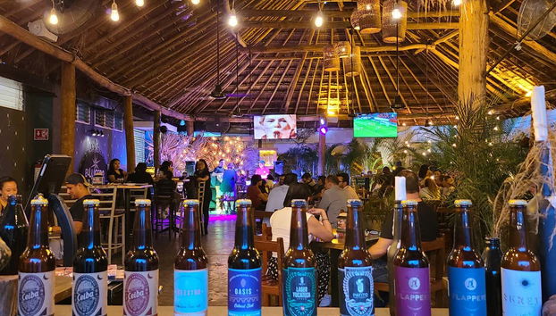 Traditional Mexican Bars Tour - Foto 4