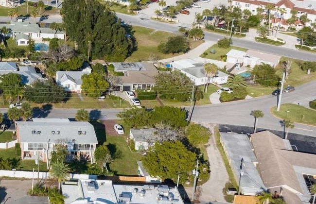 The Octopus Sanctuary - Foto 62