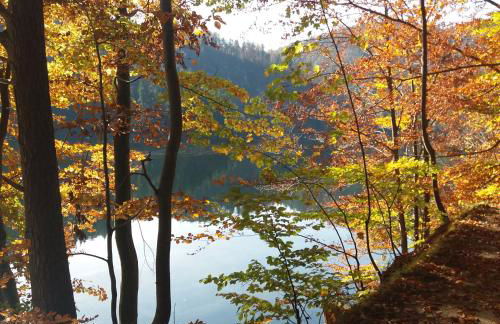 Apartment Kaiserpanorama - Foto 21