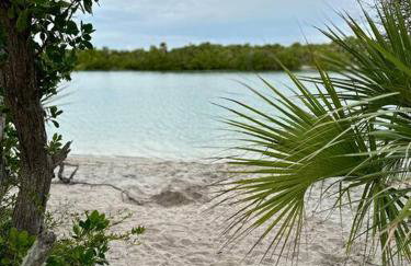 Rotonda Pool Oasis Near Beaches - Sleeps 9 - Foto 46