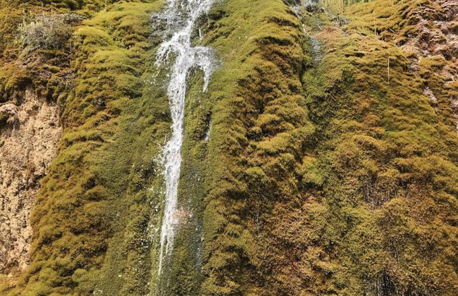 Chalet in Gerolstein Forest Holiday Park - Foto 26