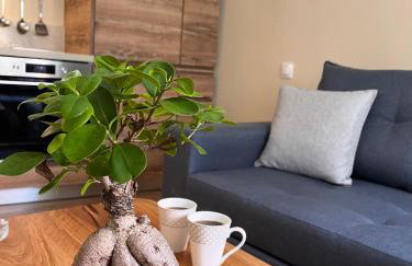 Aroma Elias - Foto 6