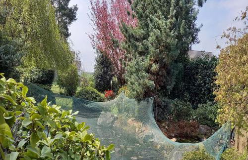 Ferienhaus Paula in Haserich im Hunsrueck - Foto 48