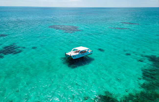 Excursión a Rose Island con avistamiento de cerdos - Foto 1