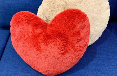 Verde Oliva Albero Limon - Photo 25