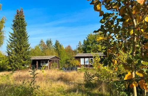 Haus 8 am Grimnitzsee mit Sauna - Photo 32