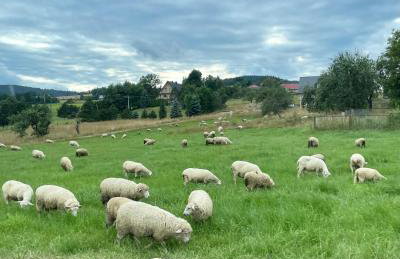 Przyszowa 441 - Photo 50