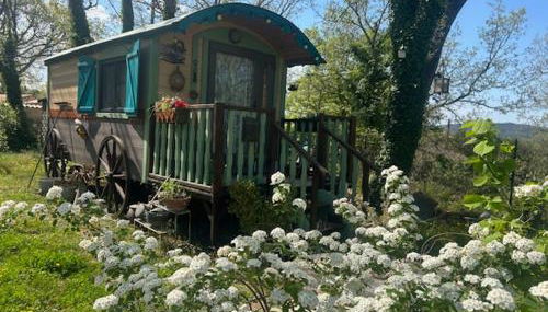 "la brindille" Roulotte Tzigane de charme Hébergement Insolite - Foto 2