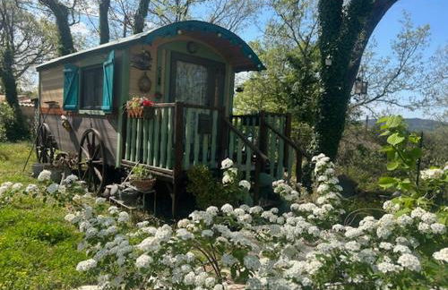 "la brindille" Roulotte Tzigane de charme Hébergement Insolite - Foto 2