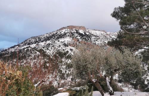 Saluda Alta - Foto 66