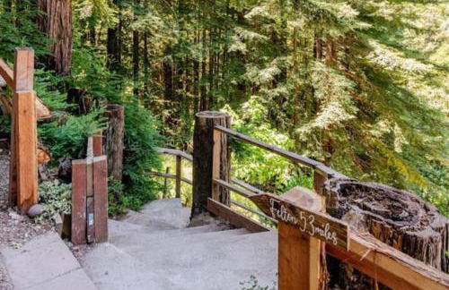 Evergreen Escape - Foto 36