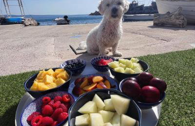 TheReal Beachfront House BoniLu Croacia - Photo 13