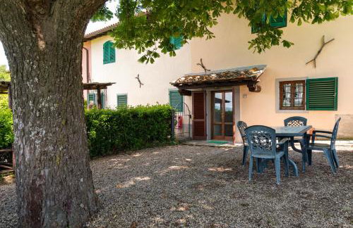 Universal Harmony - Usignolo - Foto 28