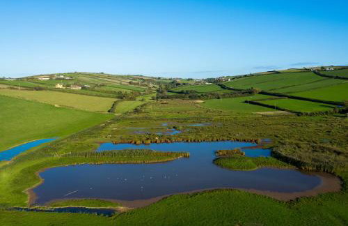 Sea Campion - Foto 39