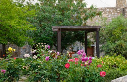 Avgonima All Seasons Hotel - Photo 45