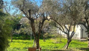 Holiday home - Foto 5, Garden, Garden view