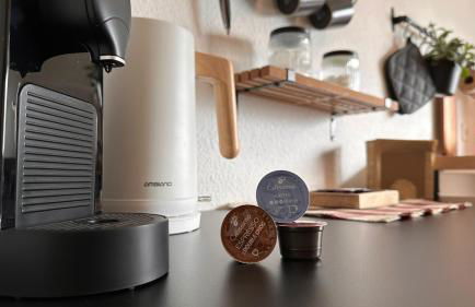 Schwarzwaldraum Schlossblick - Foto 15