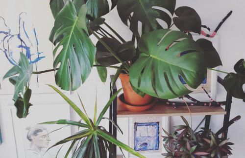 #staywild29 - Gemütliche Ferienwohnung im Allgäu - Foto 47