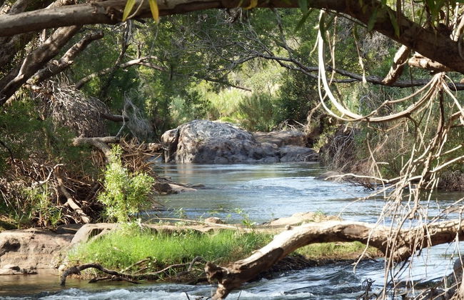 Blyde River Cabin Guesthouse - Foto 25