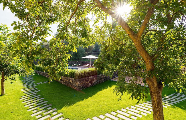 Nerello Mascalese - Foto 44