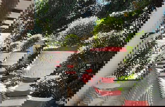 Biazi Paradise Hotel - Photo 52