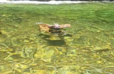 Mirante dos Alpes Teresópolis - Photo 22