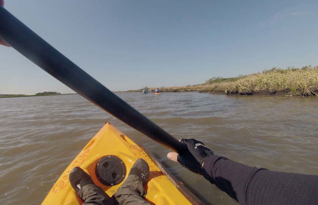 Tramandaí River Kayaking Tour - Photo 5