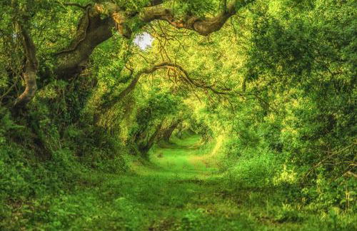 Apartment/Flat 3 - Foto 48