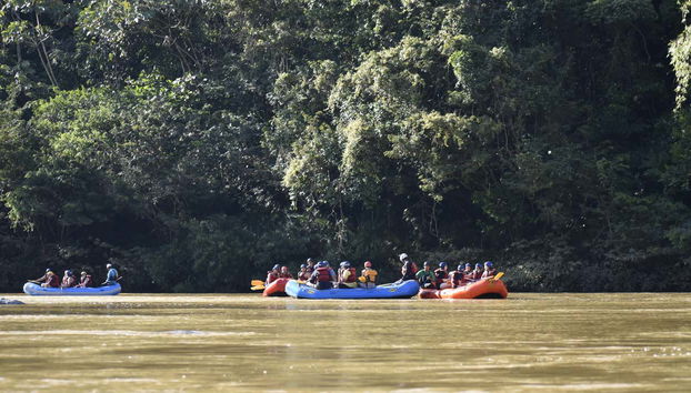 Enjoy expansive jungle landscapes