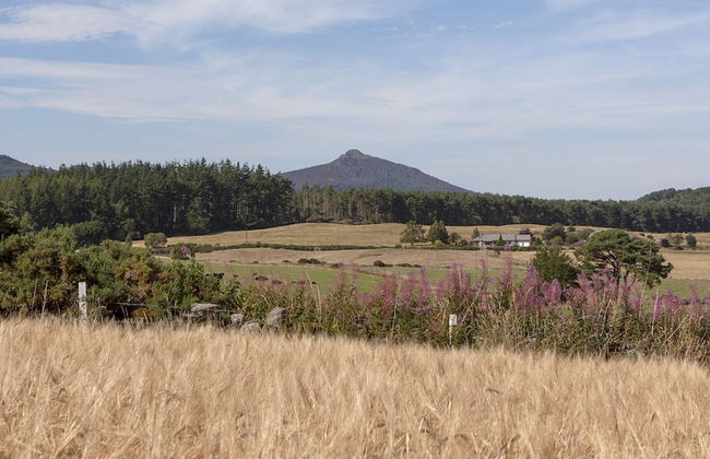 Netherton Farm Lodge - Foto 58