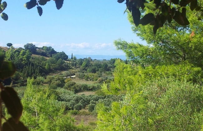 Stunning Treehouse 10 Mins From Sandy Beaches - Foto 13