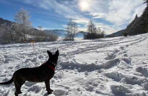 La Grange de Véro - Foto 60
