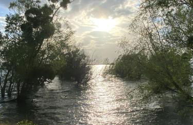 Les Cottages d'Orient Gite Boutique - Foto 33