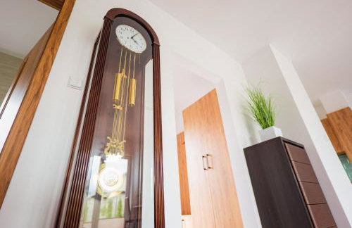 Beskid Penthouse Milówka - Photo 45