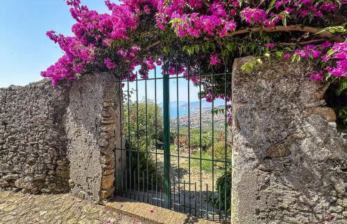 Outdoor Apt - Free Park - Bike Shuttle 3min - Foto 34