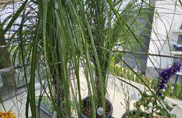 Czarny Słoń - elegancki apartament z klimatem - Photo 40