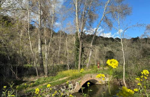 El Patio de los Naranjos - Photo 35