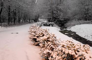 Haus Johannes - Foto 32